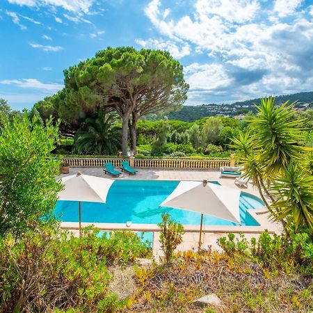 Bed and Breakfast Paradis Provencal Sainte-Maxime Exterior foto