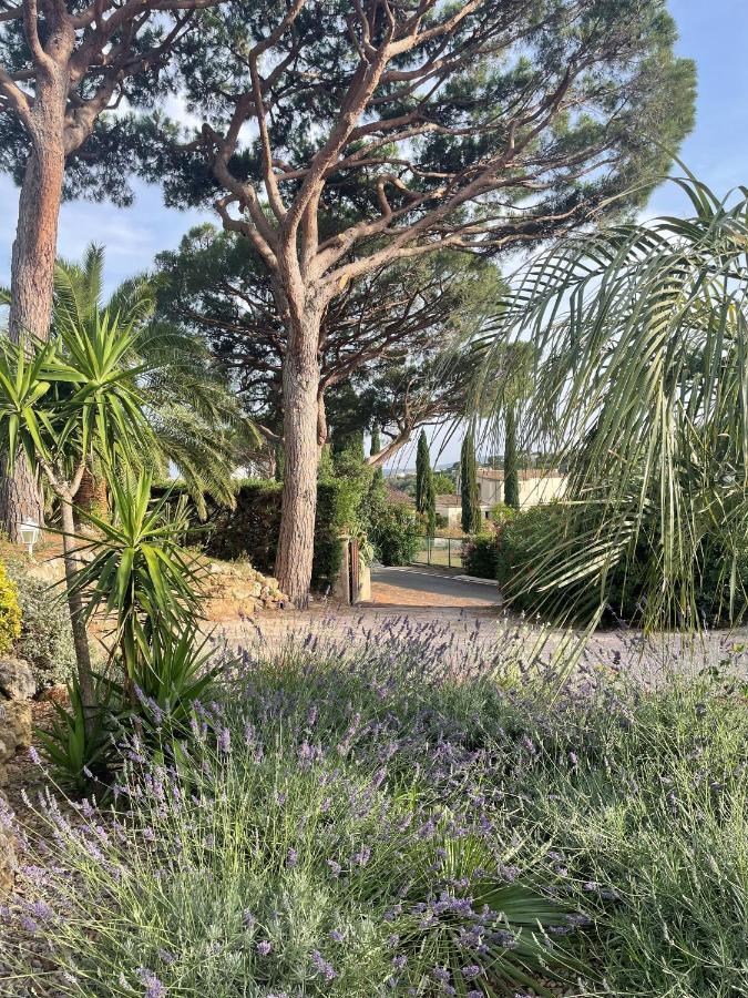 Bed and Breakfast Paradis Provencal Sainte-Maxime Exterior foto